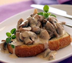 Champignon Stuvning